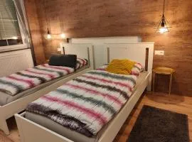Ferienwohnung Waldblick mit Balkon nahe Therme Loipersdorf