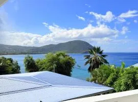 BEL BO Haut de villa vu mer et accès mer