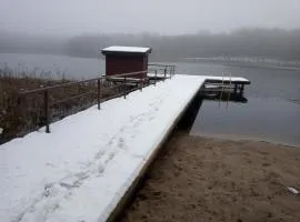 Zalesie z pomostem I