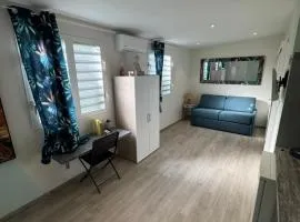 Studio Zen Caza Form