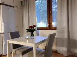 Rivitalohuoneisto, Kinnula