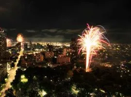 Perfect New Year eve's Fireworks