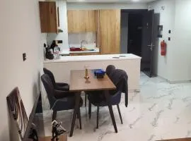 Luxury furnished 1BHK apartment Maria Vista