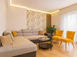 Appartement Moderne, Rénover, Triple Frontière, SAINT LOUIS CENTRE