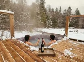 Cozy Cottage Retreat Private 2 Acres, Near Lake