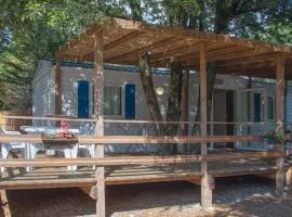 Mobil-home 30m² PMR 3 lits simples - Terrasse - API-1-52-329