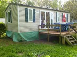 Confortable Mobil-home avec Terrasse à Moncrabeau - API-1-52-1196