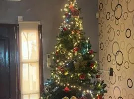 Infinit Home Duplex entero