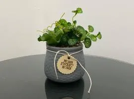 Upper Bed space for Budget Traveler - No Parking