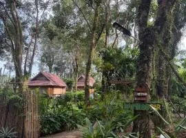 Bamboo Hideaway Resort