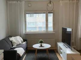 Apartment Puijonkatu