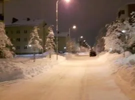 Valoisa huoneisto lähellä ydinkeskustaa