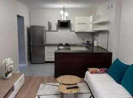 Apartament Nowowiejska, osiedle zamknięte, 24h szybkie zameldowanie!