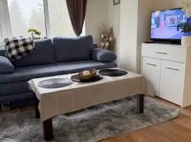 Chamkoria Borovets luxury apartment view