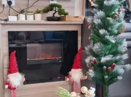 Sea view holiday home with accessible ramp and WiFi - no entertainment and venues access on the park