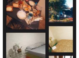 Hotel Rustic, hotel in Santiago