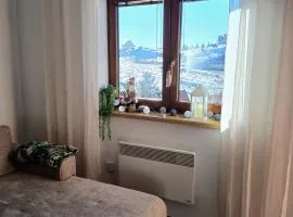 Apartman Montis