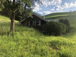 Gemütliche Berghütte in Sonniger und Super Lage!, hotel a Haus
