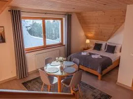 Osada Witów - apartament „Siwa Kopa”