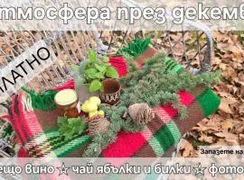 Galeria In The Garden