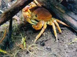 Pousada o Canto da Seriema