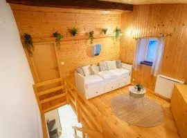 Chalet Familial Ovronnaz Ski & Bains Thermaux