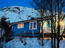 Seiland BlueDream HolidayHome, Wellnesshotel in Skakkebakken