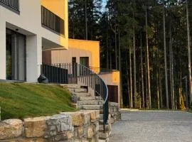 Chalet Velvet by Fomich