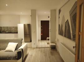 City Center Apartment 45m, 100m from RYNEK and Wisła River 1 Bedroom and 1 Living Room with Kitchen plus Bathroom, a perfect Family Friendly Place or for Home Office and a longer Stay, a proper office desk with business chair provided,, ξενοδοχείο σε Grudziądz