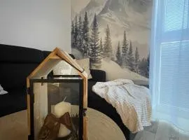 Smart Hviezdoslavova APT