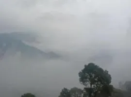 Twin Oaks Kasauli Hills