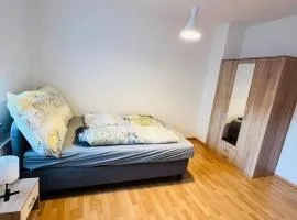 Geräumige Wohnung Nähe HBF