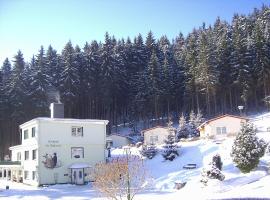 Pension Am Waldesrand, hostal o pensi&oacute;n en Ilmenau
