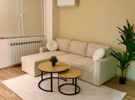 Modern Cozy Family Home in the Heart of the City