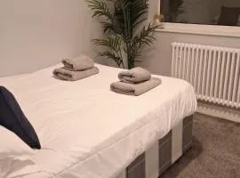 Victorian Suites Apartment