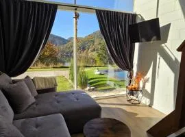 Tiny 1 Lakeforest Dedinky Wellness