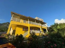 Desired View vacation rentals