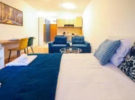 Blue Nest Studio - Free Parking and Mountain View