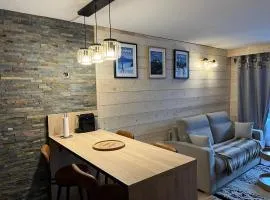 LE CORBIER Vue pistes Studio 5 personnes entièrement rénové