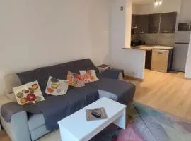 Charmant 3 pieces 2 chambres et parking