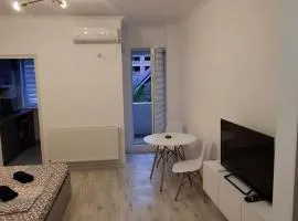 Anghel House- Militari Residence