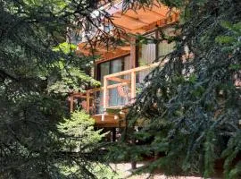 ECHIVITI Cottages in Abastumani