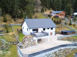 Alpen Panorama 2 - Lachtal Apartments