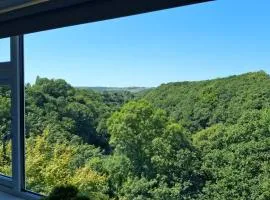 Charming tree top cottage overlooking River Teifi
