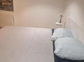 Chambre ouverte colloc - Bordeaux centre