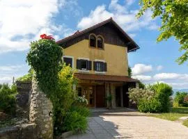 Holiday Home with BBQ in Novo mesto 54727