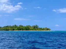 Dany Island