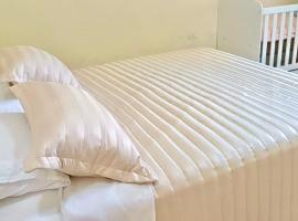 Casa familiar completa con patio grande y estacionamiento en zona tranquila, hotel in Ciudad del Este