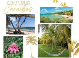 Couleur Caraïbes- 2 Appartements Communicants Vue Mer Pierre&Vacances