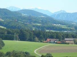 Landgasthof Franz Josef, ξενοδοχείο σε Strasswalchen